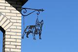 BOULEDOGUE FRANCAIS 485